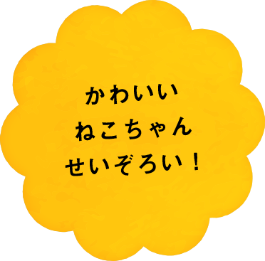 かわいいねこちゃんせいぞろい!